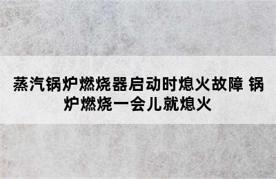 蒸汽锅炉燃烧器启动时熄火故障 锅炉燃烧一会儿就熄火